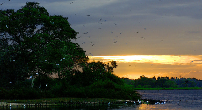 Bundala National Park