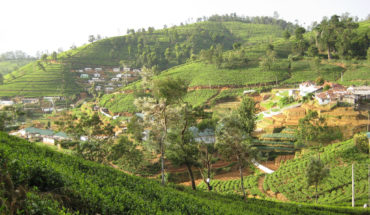 Nuwara Eliya